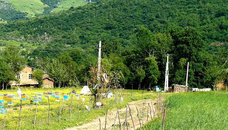 بلیط هواپیما اردبیل_آی آر تور