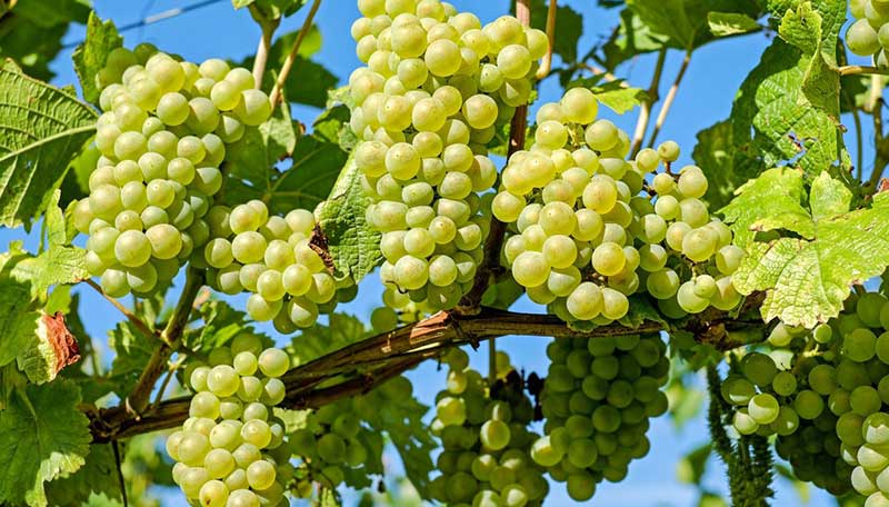 بلیط هواپیما اردبیل_آی آر تور