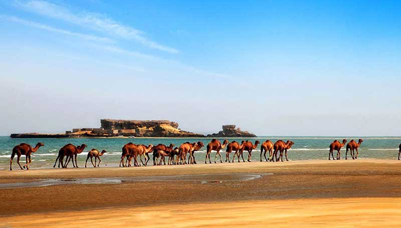 خرید بلیط هواپیما قشم_آی آر  تور